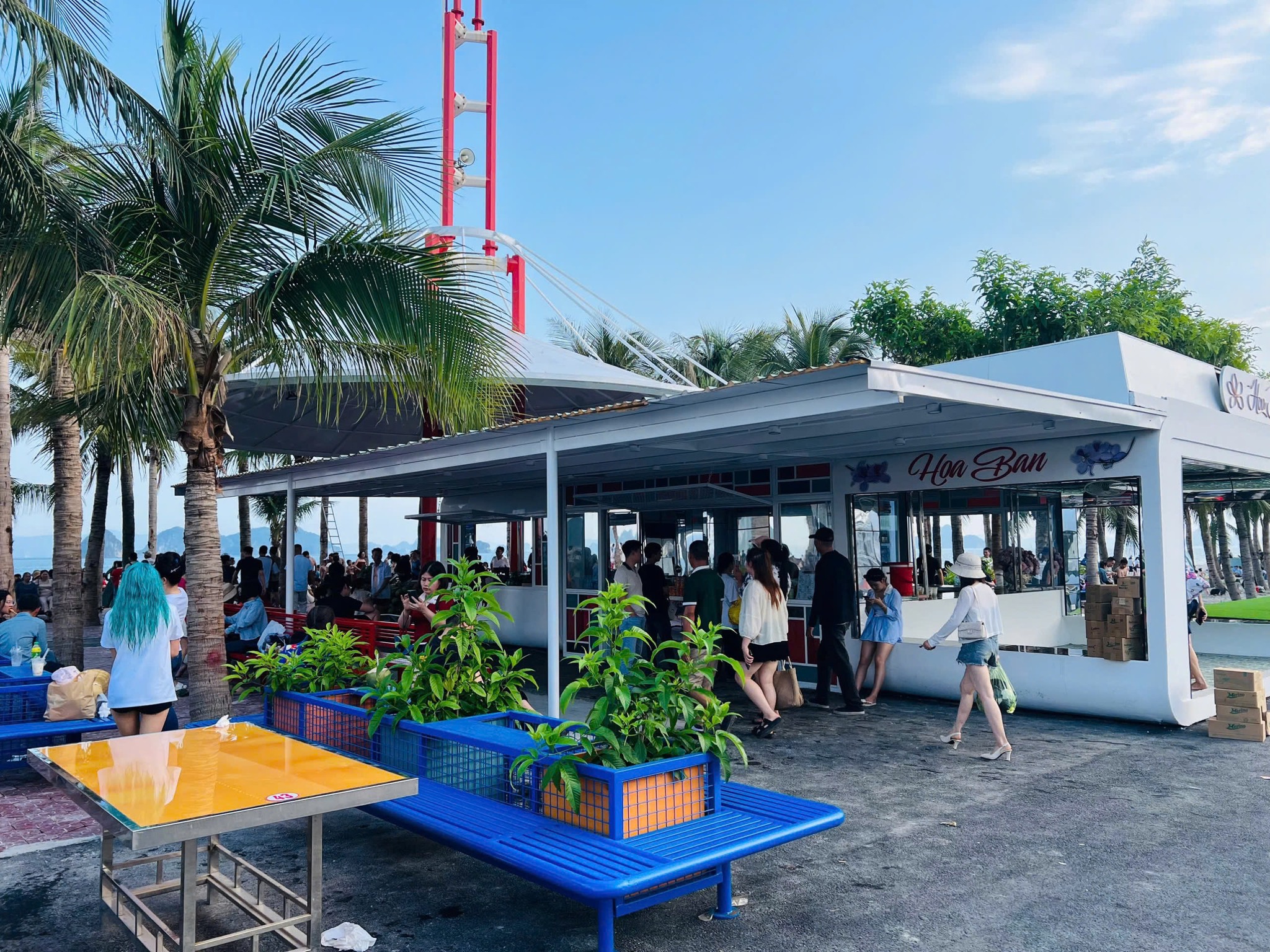 Bar Hoa ban