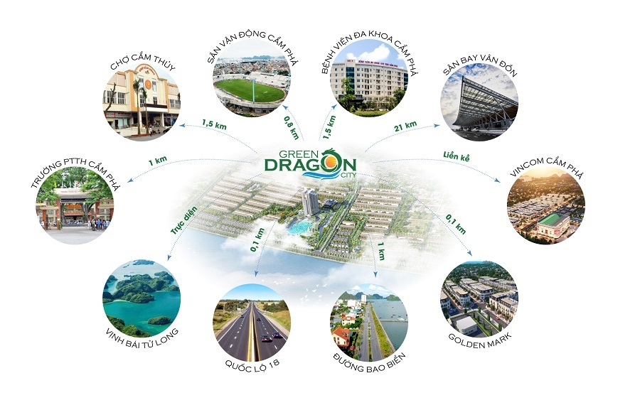 Liên kết vùng tại Green Dragon Cẩm Phả